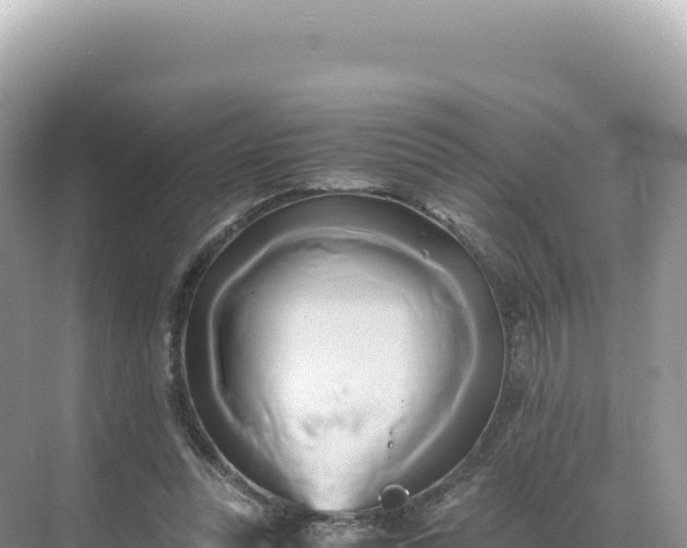 X0000071380351200606301816