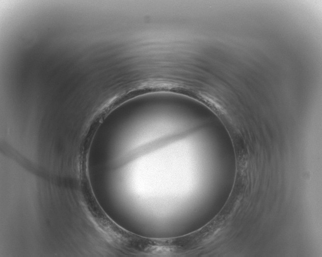 X0000071380352200606301816