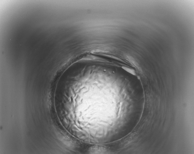 X0000071380354200606301816