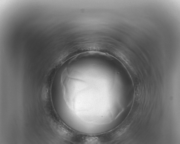 X0000071380355200606301816