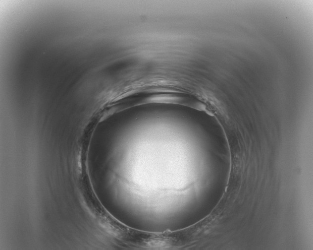 X0000071380358200606301816