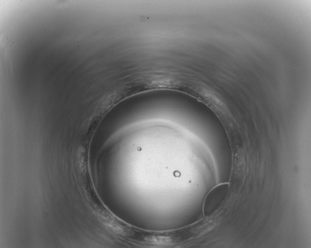 X0000071380361200606301816