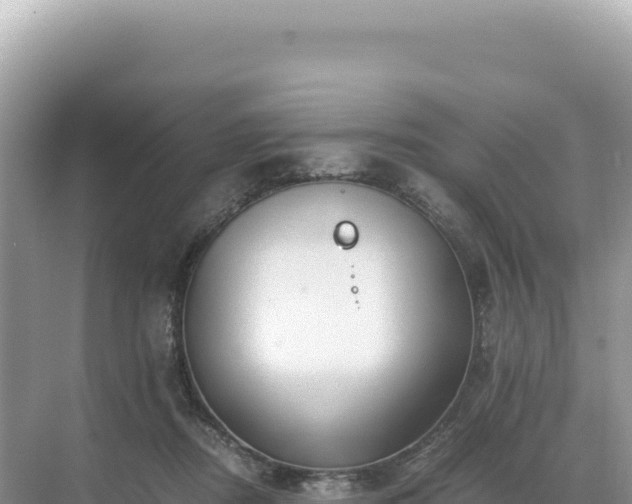 X0000071380362200606301816