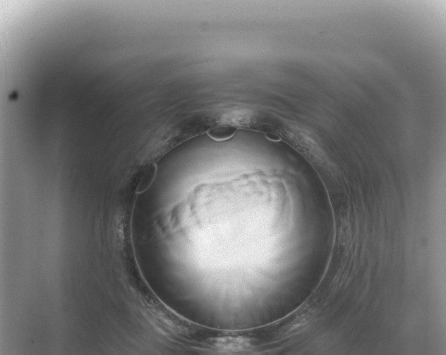 X0000071380363200606301816