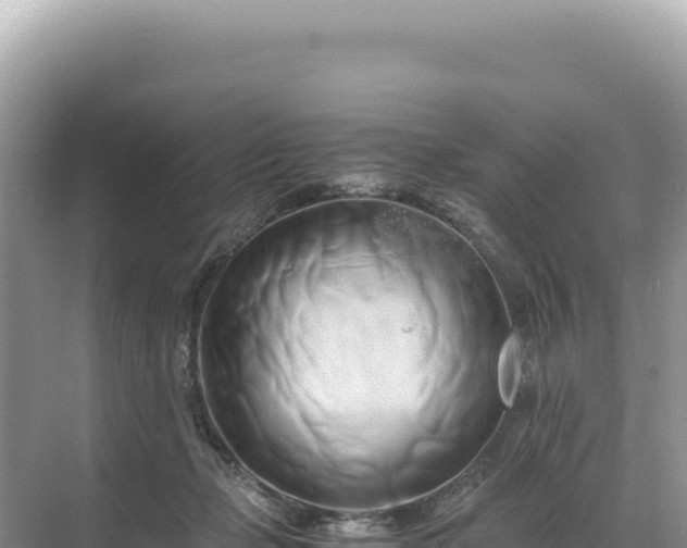 X0000071380365200606301816