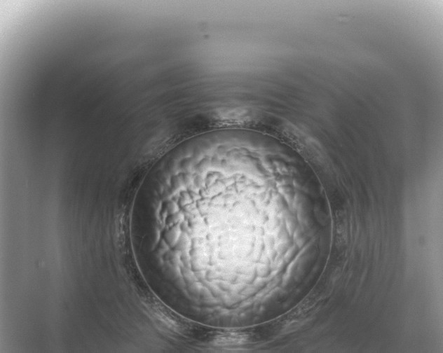 X0000071380369200606301816