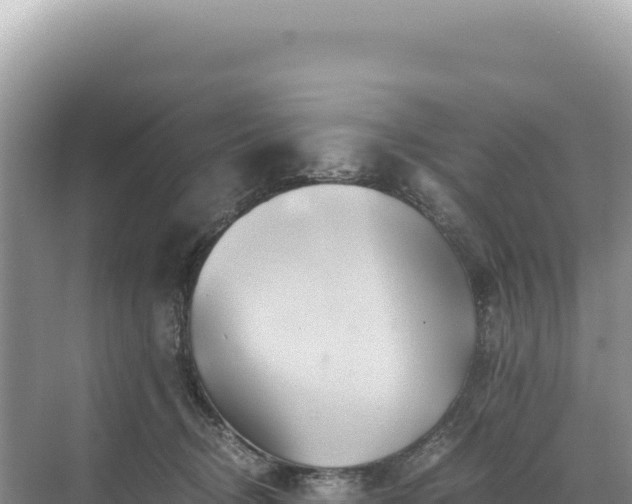 X0000071380370200606301816