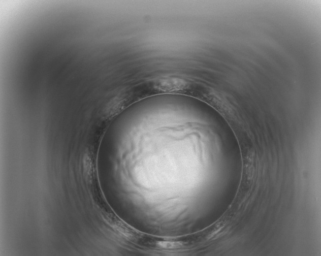 X0000071380371200606301816