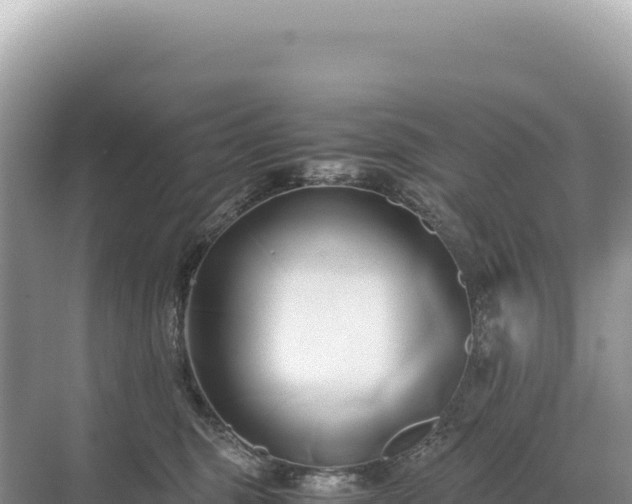 X0000071380375200606301816