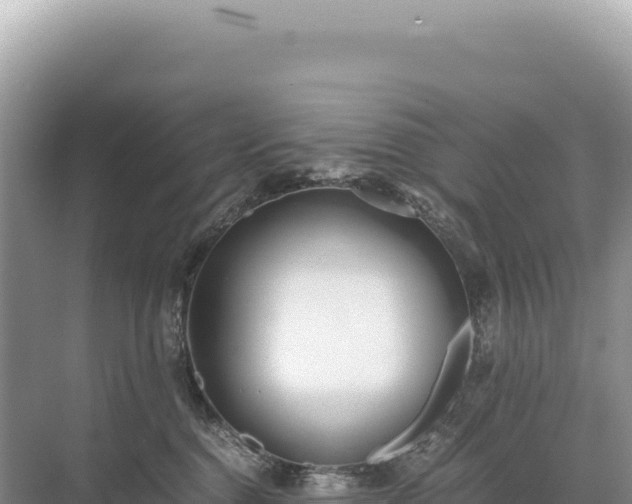 X0000071380376200606301816