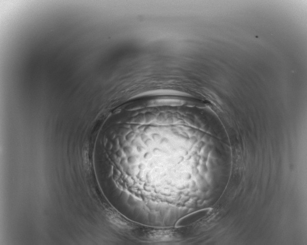 X0000071380377200606301816