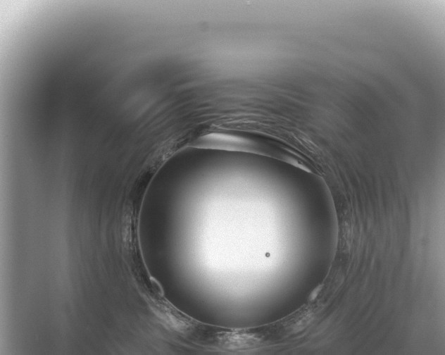 X0000071380379200606301816