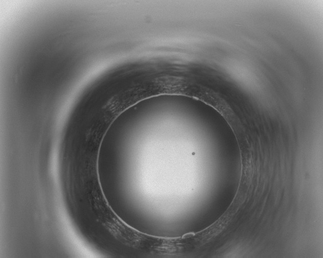 X0000071380383200606301816