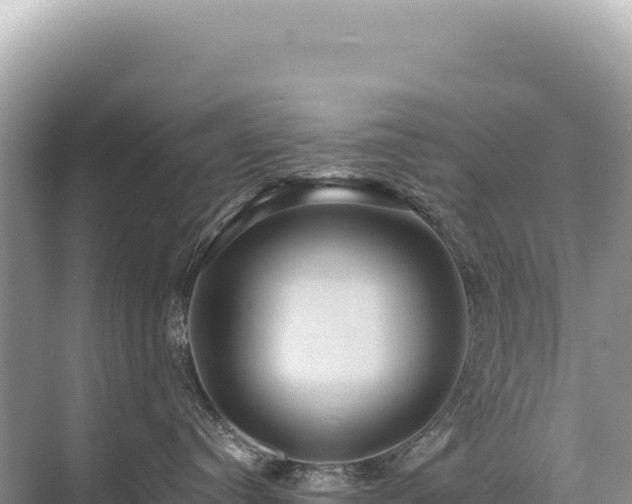 X0000071380384200606301816