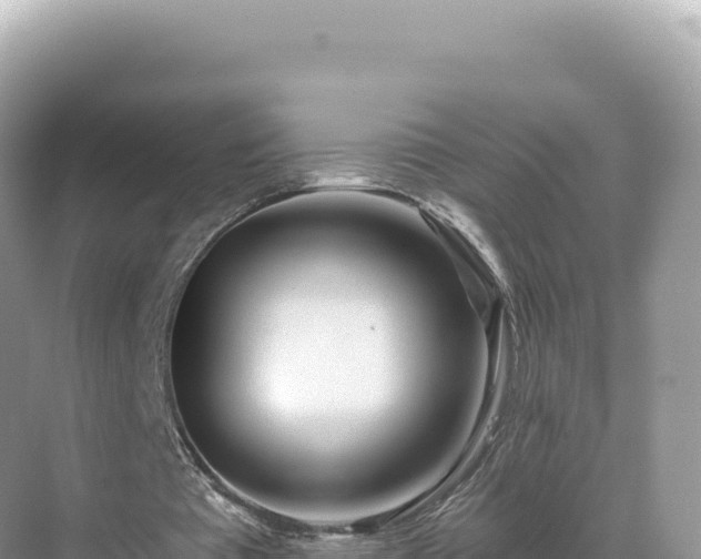 X0000071380385200606301815