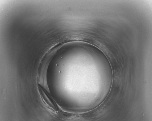 X0000071380386200606301815