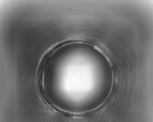 X0000071380388200606301815