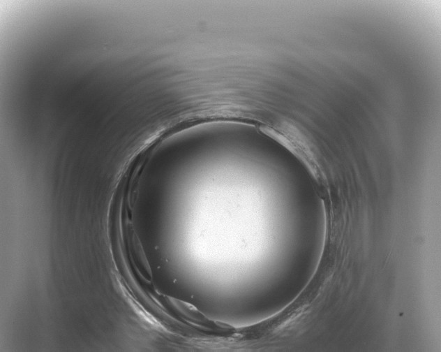 X0000071380389200606301815