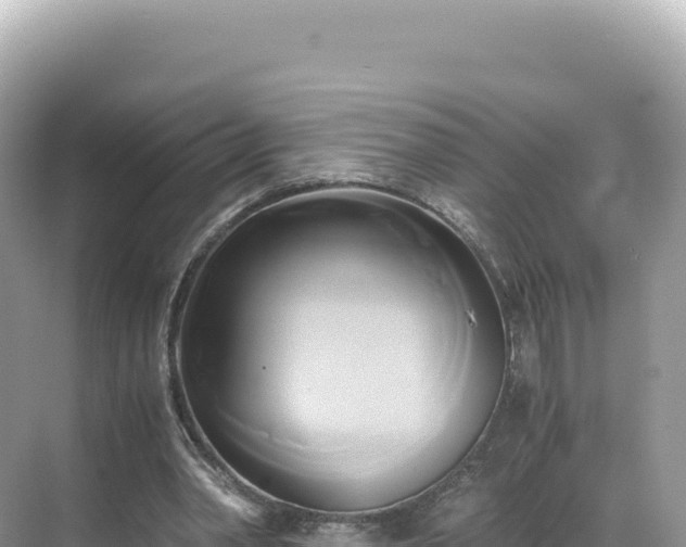 X0000071380390200606301815