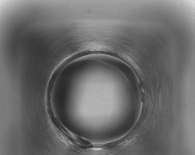 X0000071380391200606301815