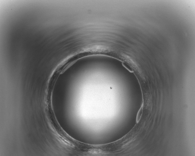 X0000071380392200606301815