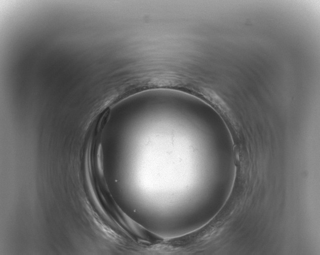 X0000071380393200606301815