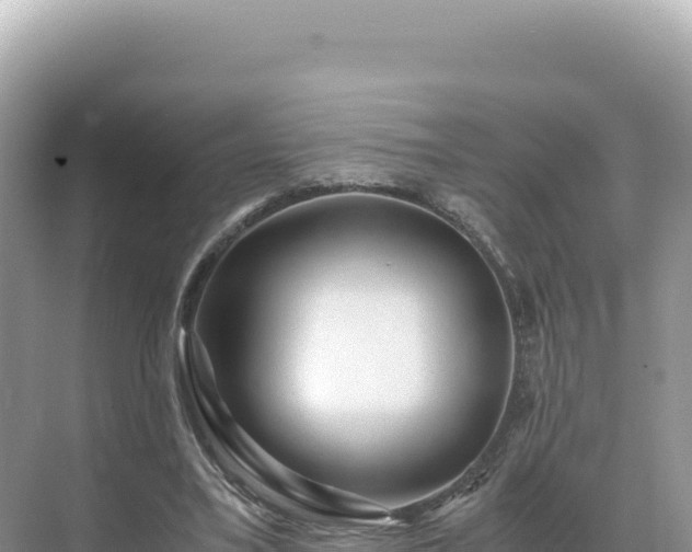 X0000071380395200606301815