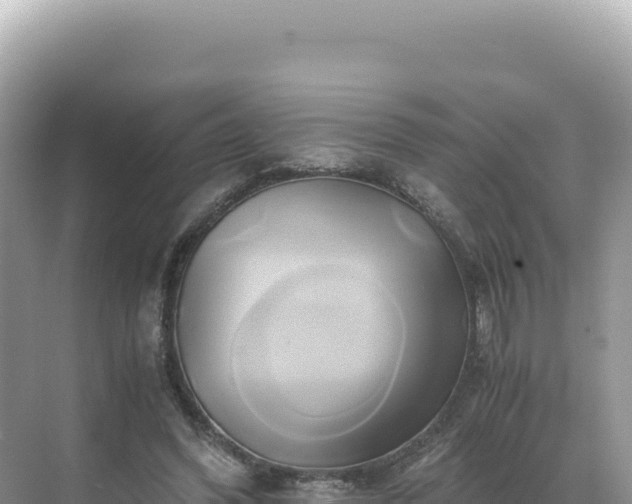 X0000071380396200606301815