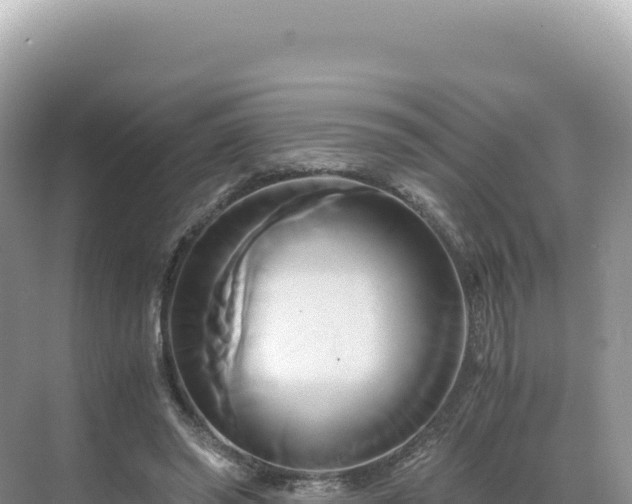 X0000071380398200606301815