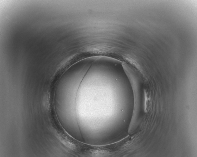 X0000071380400200606301815