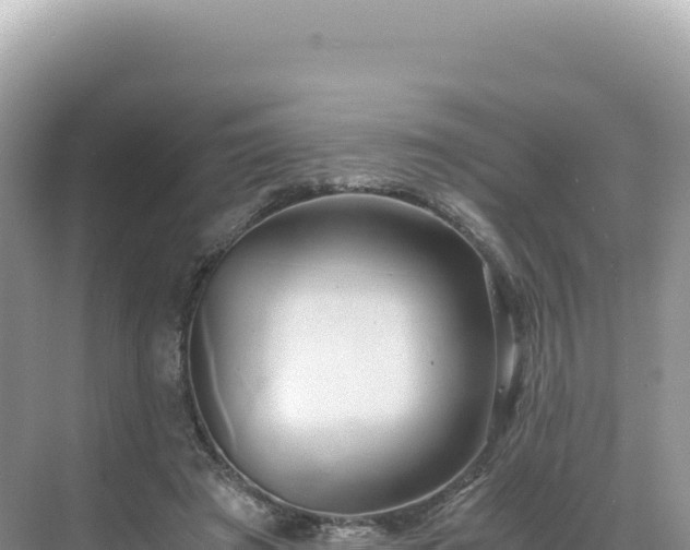 X0000071380401200606301815