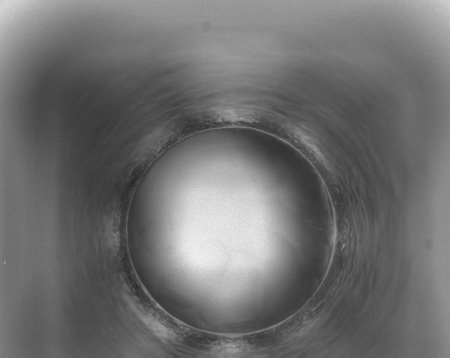 X0000071380402200606301815