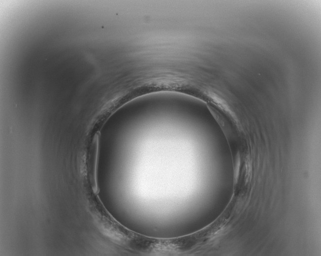 X0000071380403200606301815