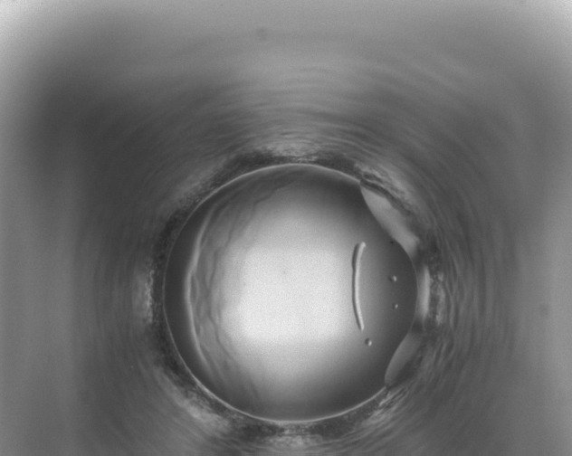 X0000071380404200606301815