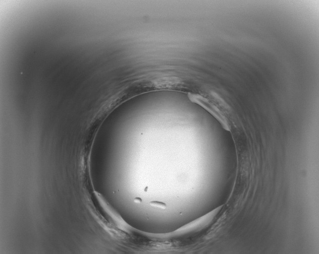 X0000071380405200606301815