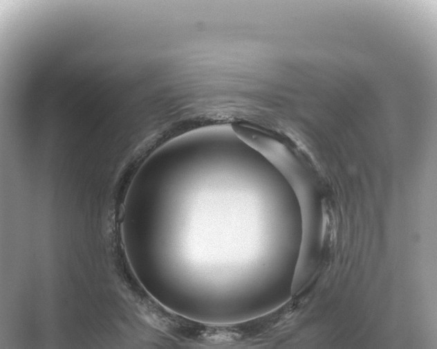 X0000071380407200606301815