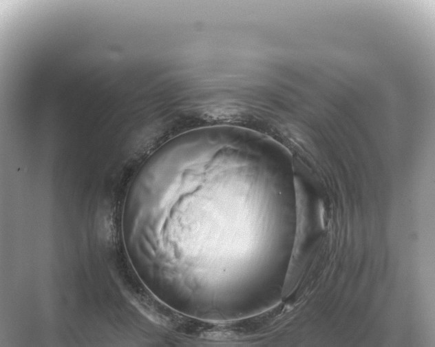 X0000071380408200606301815