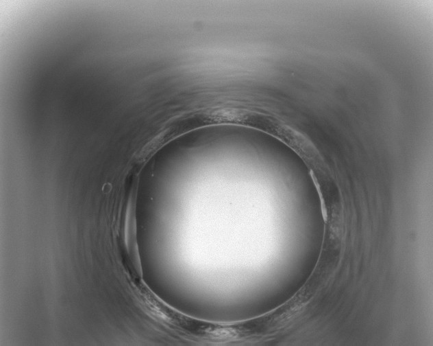 X0000071380409200606301815