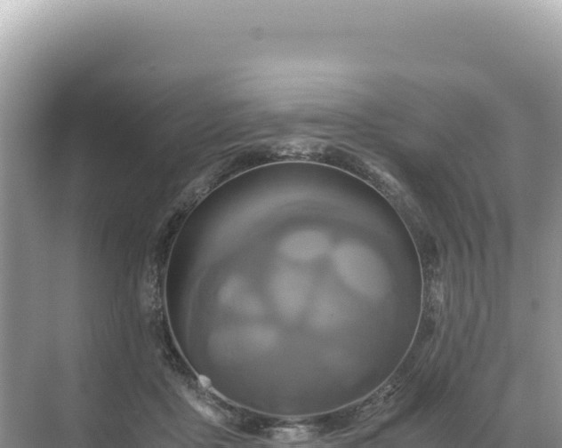 X0000071380411200606301815