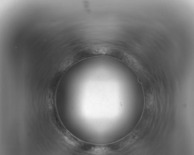 X0000071380414200606301815