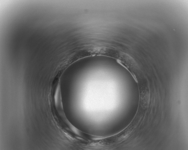 X0000071380416200606301815