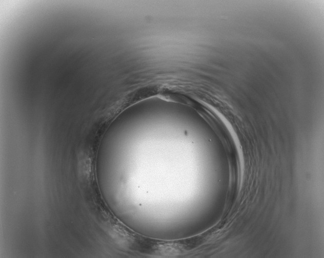 X0000071380417200606301815