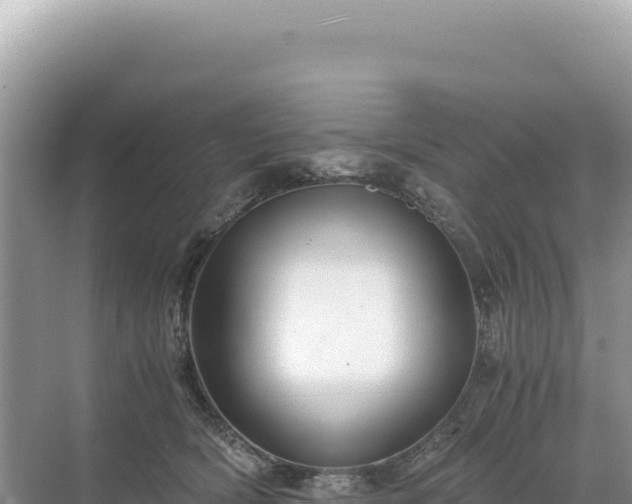 X0000071380418200606301815