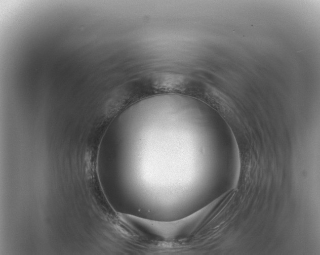 X0000071380420200606301815