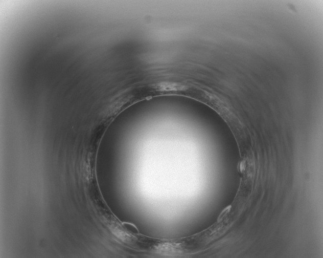 X0000071380422200606301815