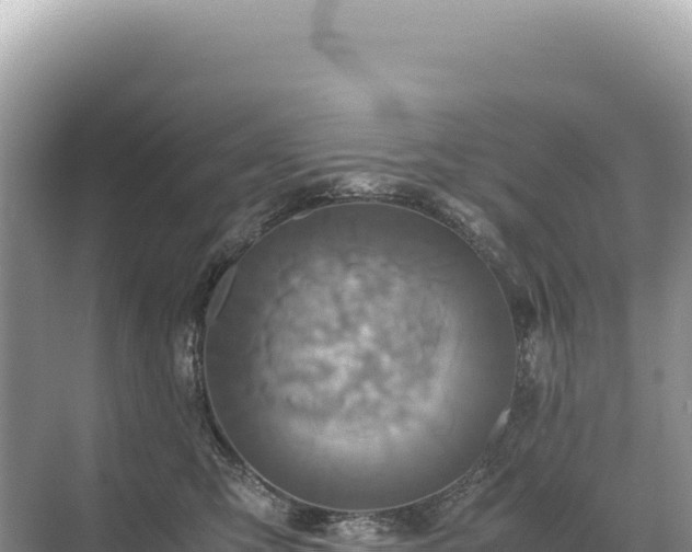 X0000071380423200606301815