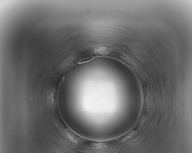 X0000071380424200606301815