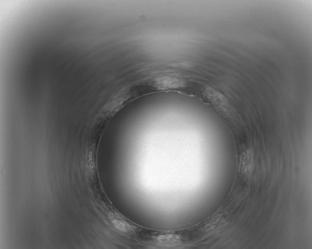 X0000071380426200606301815