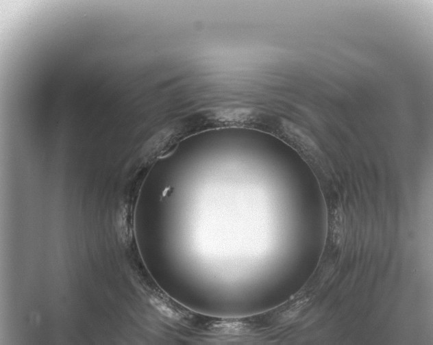 X0000071380428200606301815