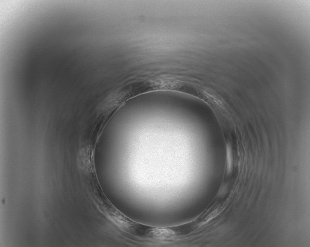 X0000071380429200606301815